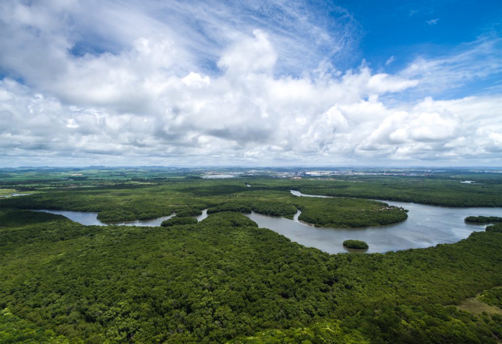 Río Amazonas