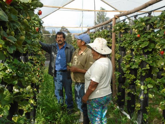 Seguridad alimentaria y nutricional, compromiso de los alcaldes salvadoreños