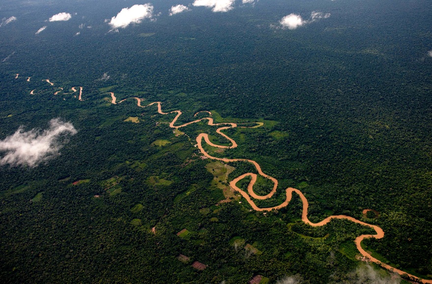 Amazonia colombiana deberá ser protegida de forma inmediata