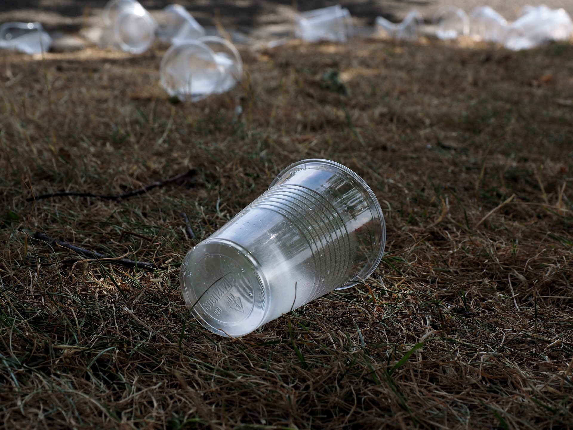 Vasos plásticos desechados