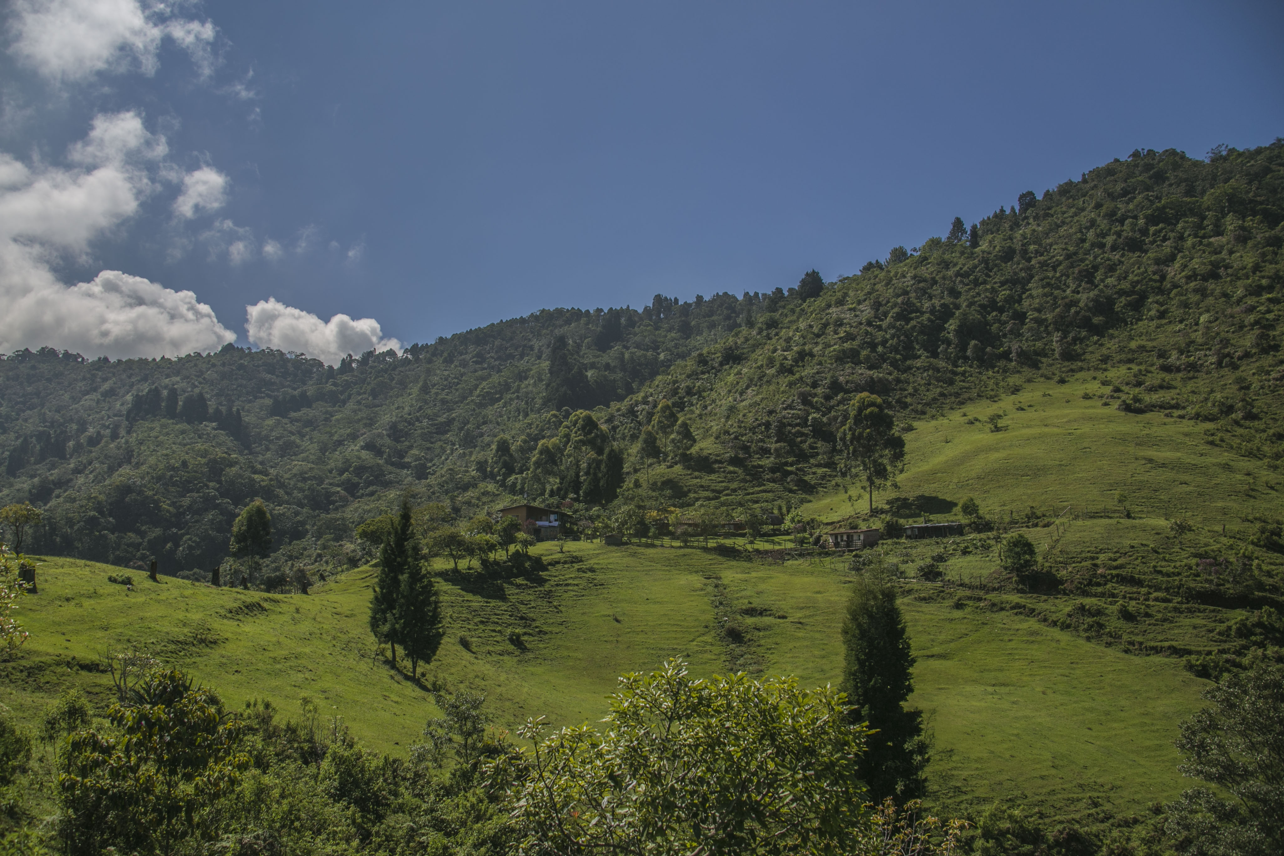 376 mil nuevos metros cuadrados para zonas de protección en Sabaneta (Colombia)