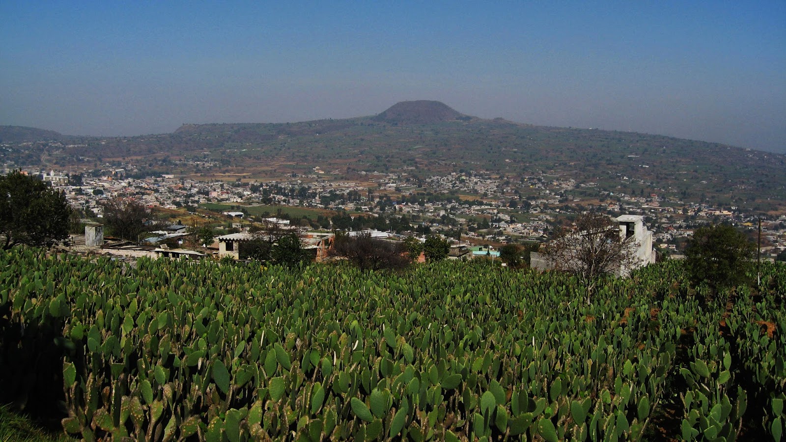 La Ciudad de México tendrá primera escuela de Náhuatl