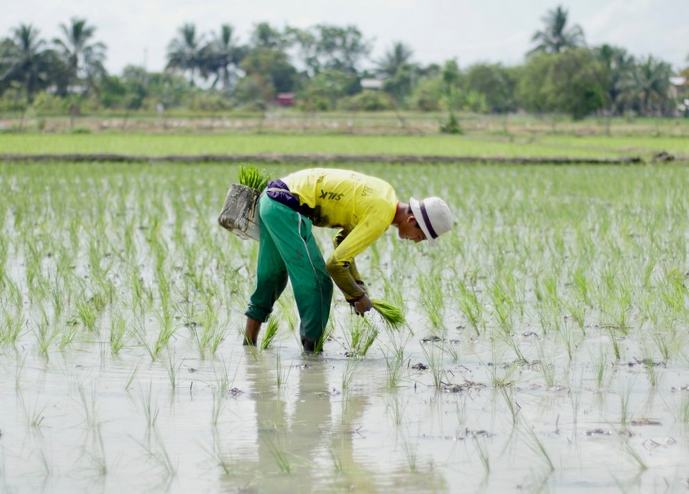 Seguridad alimentaria y nutricional, compromiso de los alcaldes salvadoreños