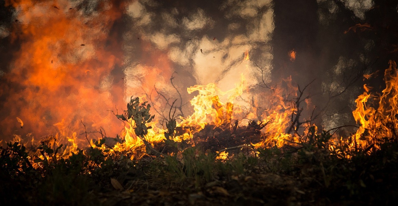 El cambio climático aumenta los riesgos de incendios provocados por los rayos