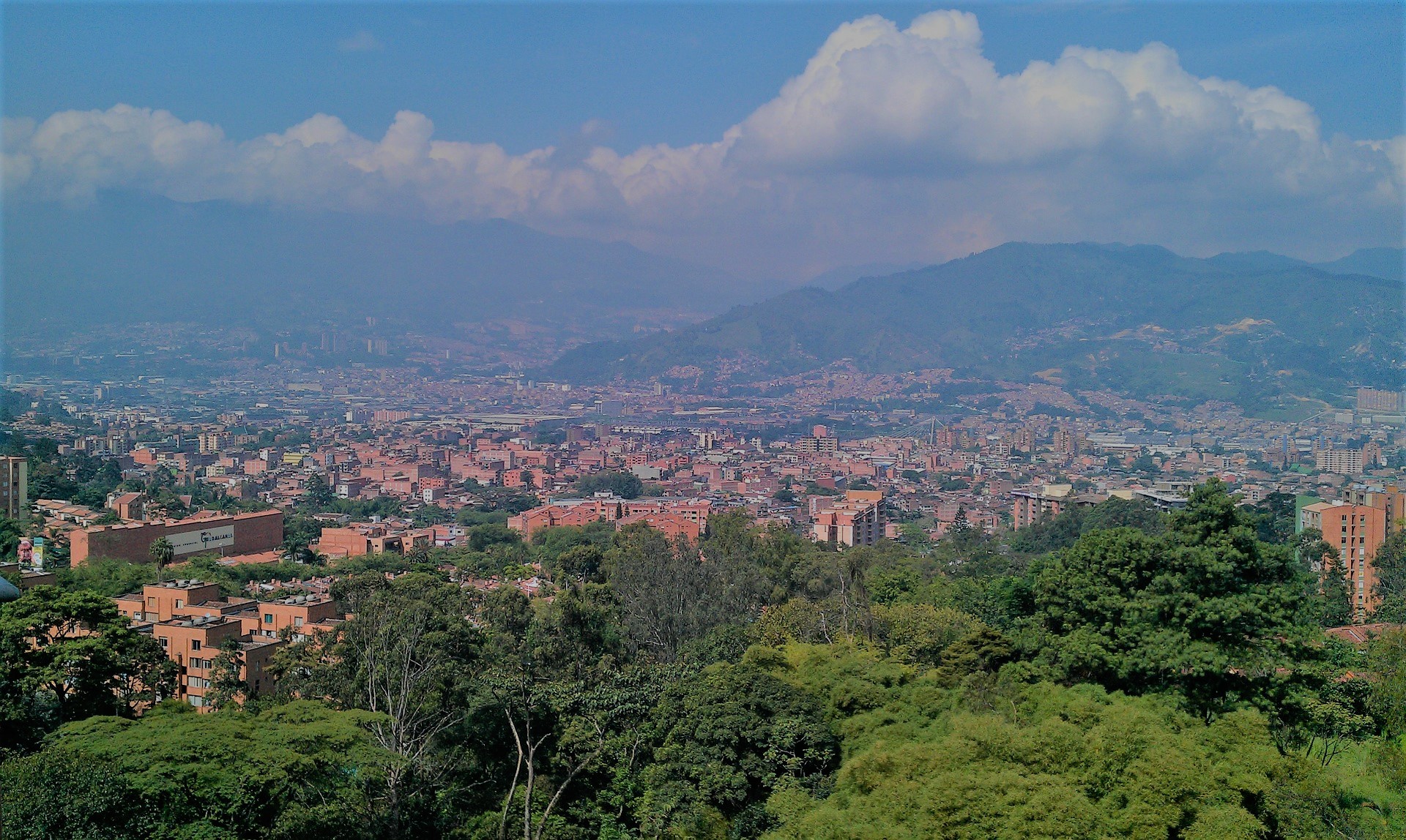 Medio Ambiente es la principal preocupación de ciudadanos colombianos según Encuesta de la Red de Ciudades Cómo Vamos