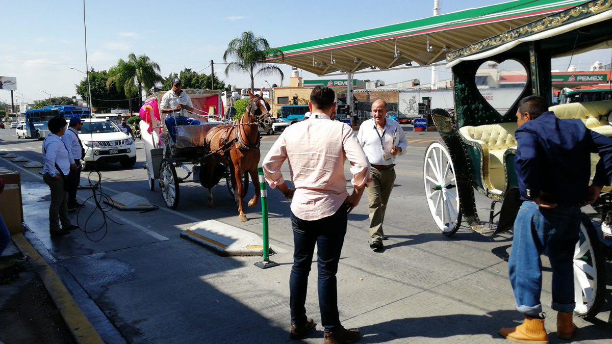 Guadalajara intensifica revisiones sobre coches de tracción animal