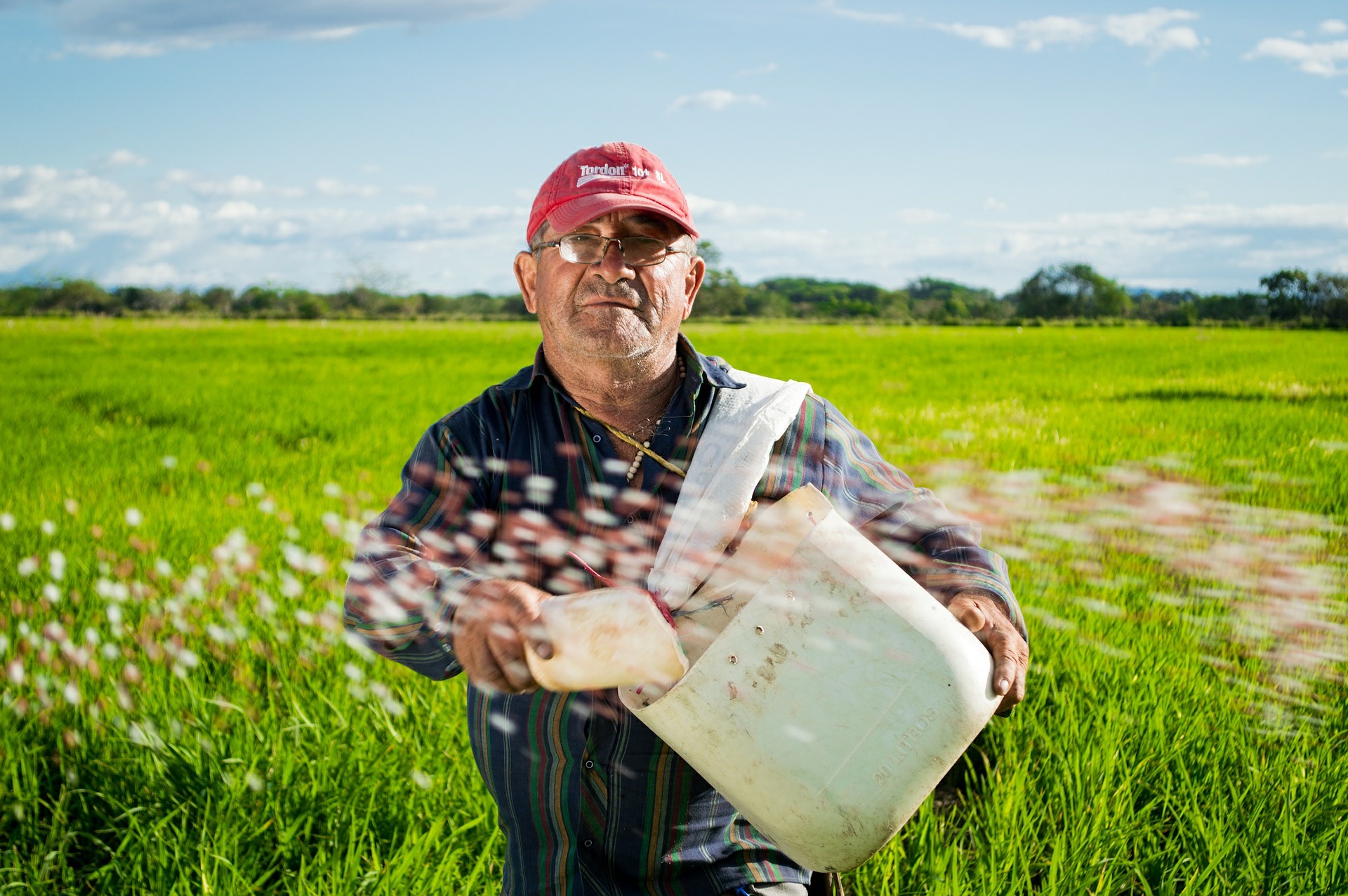 Si no cambian los sistemas alimentarios no habrá desarrollo sostenible