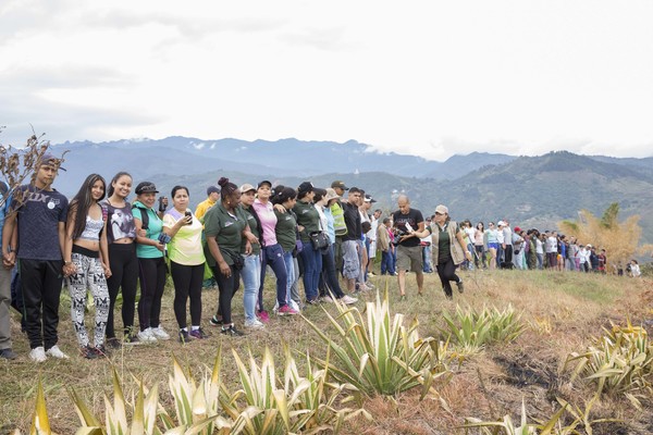 Caleños se unieron a la gran recuperación del Cerro Cristo Rey
