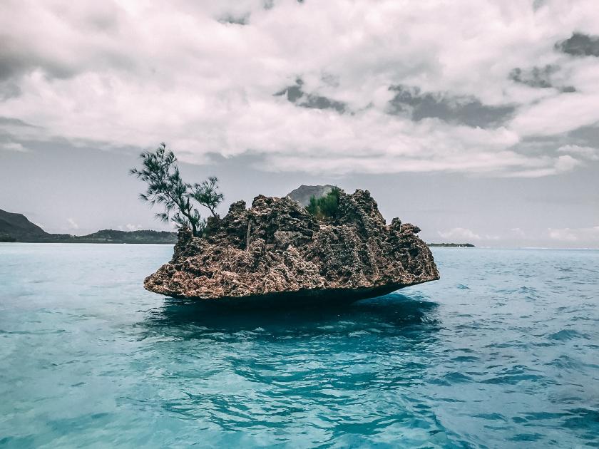 Belice y Guatemala, últimos países de la región en unirse a la campaña Mares Limpios