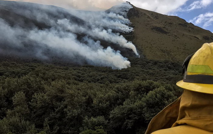 Quito redujo en un 6 % las áreas afectadas por incendios forestales