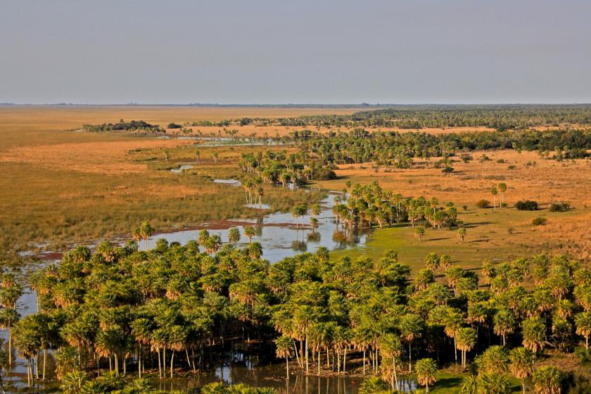 Nuevo Parque Nacional en Argentina, la esperanza para muchas especies