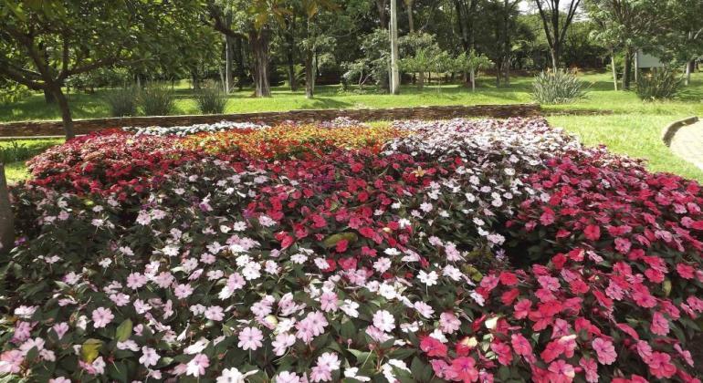 Químicos de la orina serán abono para los jardines de Belo Horizonte