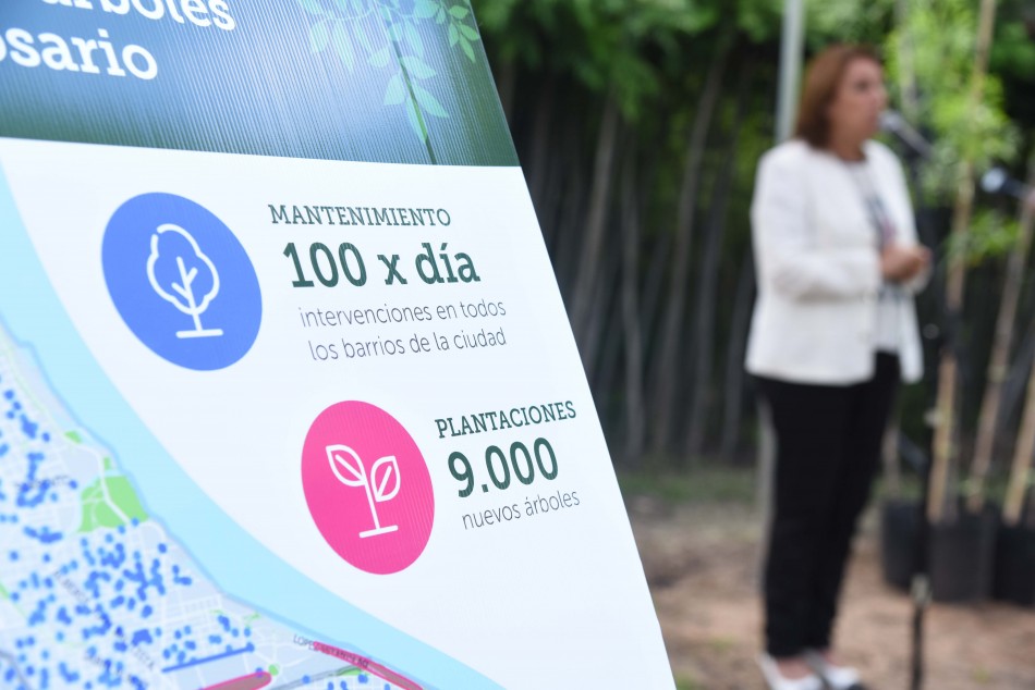 Rosario presentó su Plan de Gestión del Arbolado para 2019