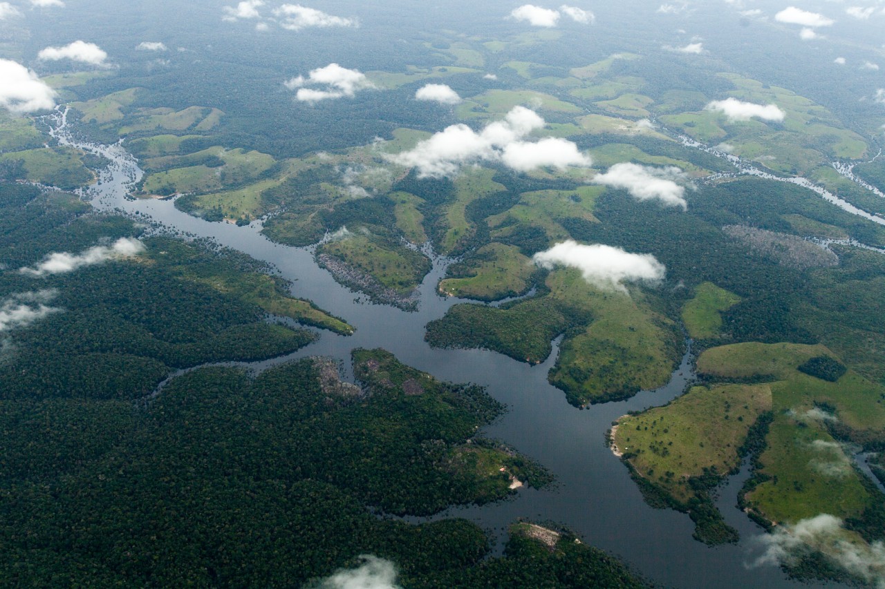 Brasil recibió reconocimiento por reducir su deforestación entre 2014-2015