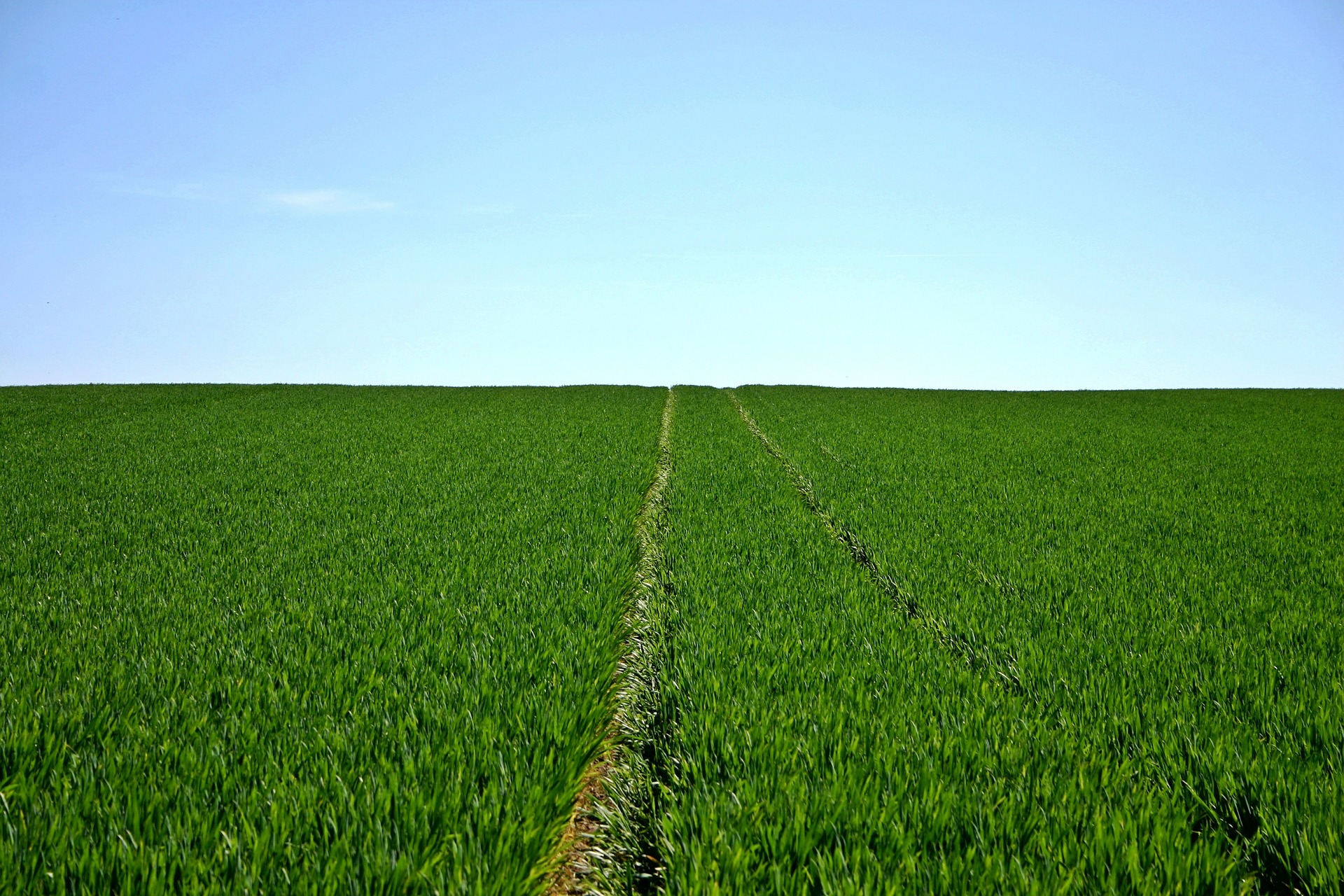 Colombia destina recursos para la producción agropecuaria y ambientalmente sostenible