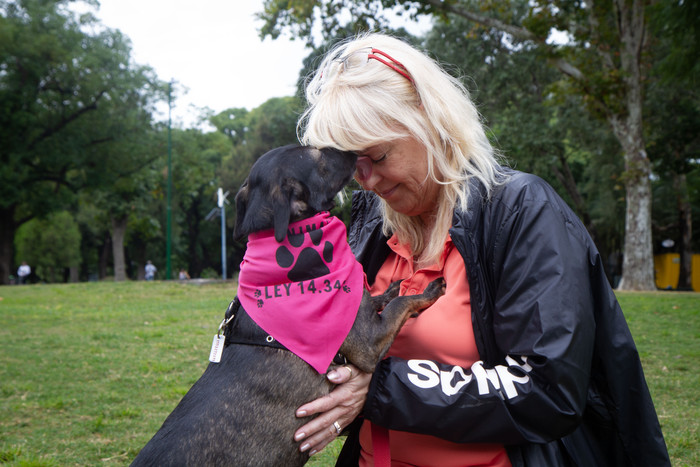 Más de mil perros y gatos rescatados fueron dados en adopción en Buenos Aires