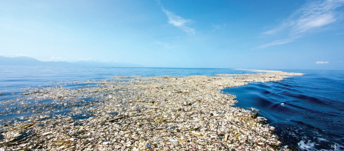 Juntos podemos derrotar a la contaminación marina en el Caribe