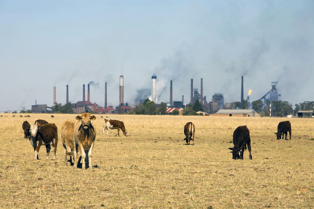 Expertos advierten que el cambio climático pondrá en riesgo el agua y la comida del planeta