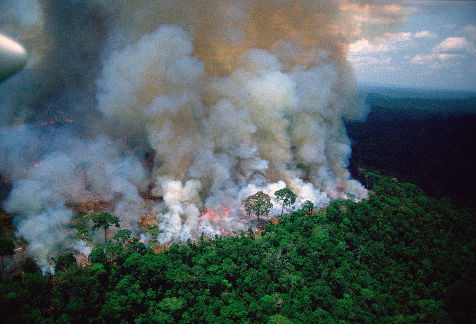 CAF ofrece ayuda inmediata ante incendios forestales en la región