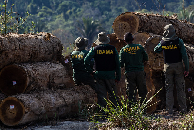 “Nos han debilitado en un 50 % el presupuesto y el personal”, denuncia instituto que lucha contra la deforestación en Brasil