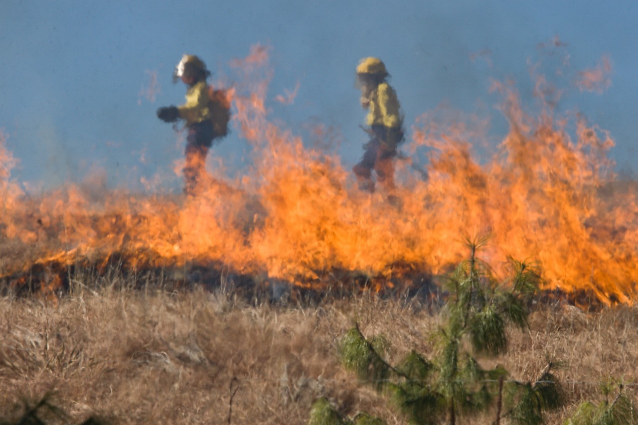 PNUD apoyará crisis de incendios en Bolivia