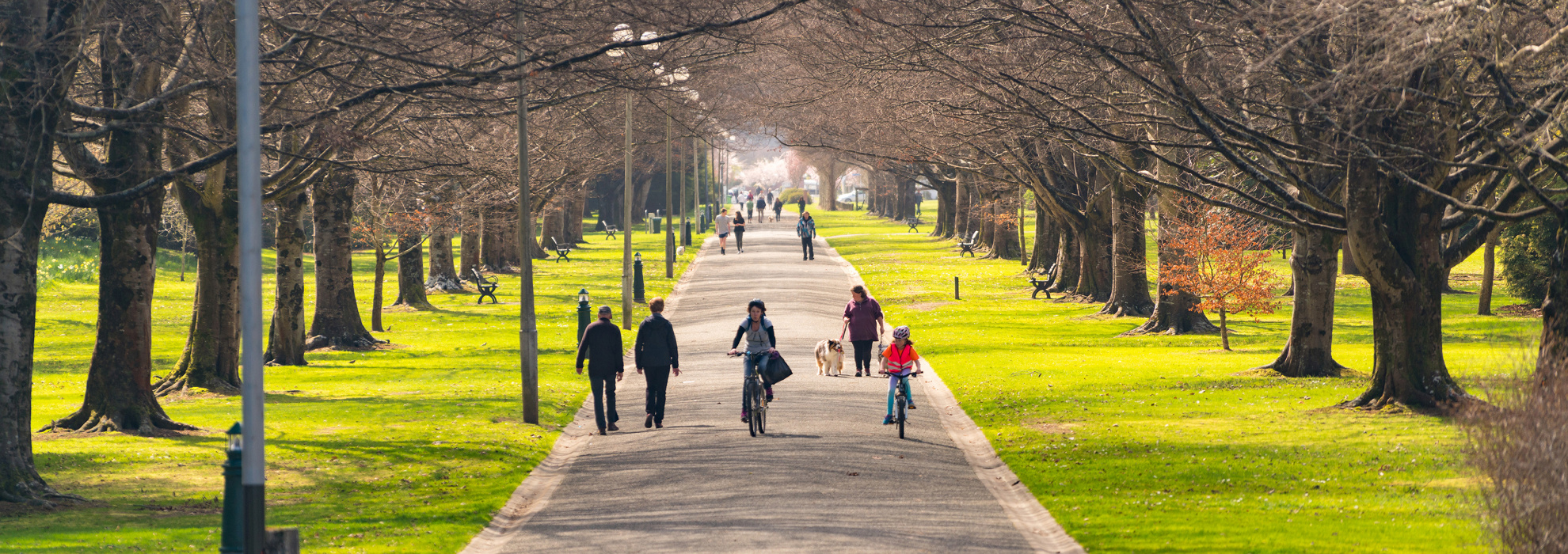 Estos son los mejores parques urbanos de 2019