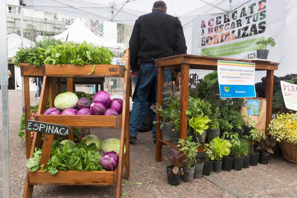 Agricultura Urbana y el Cinturón Verde de Rosario, reconocidos internacionalmente