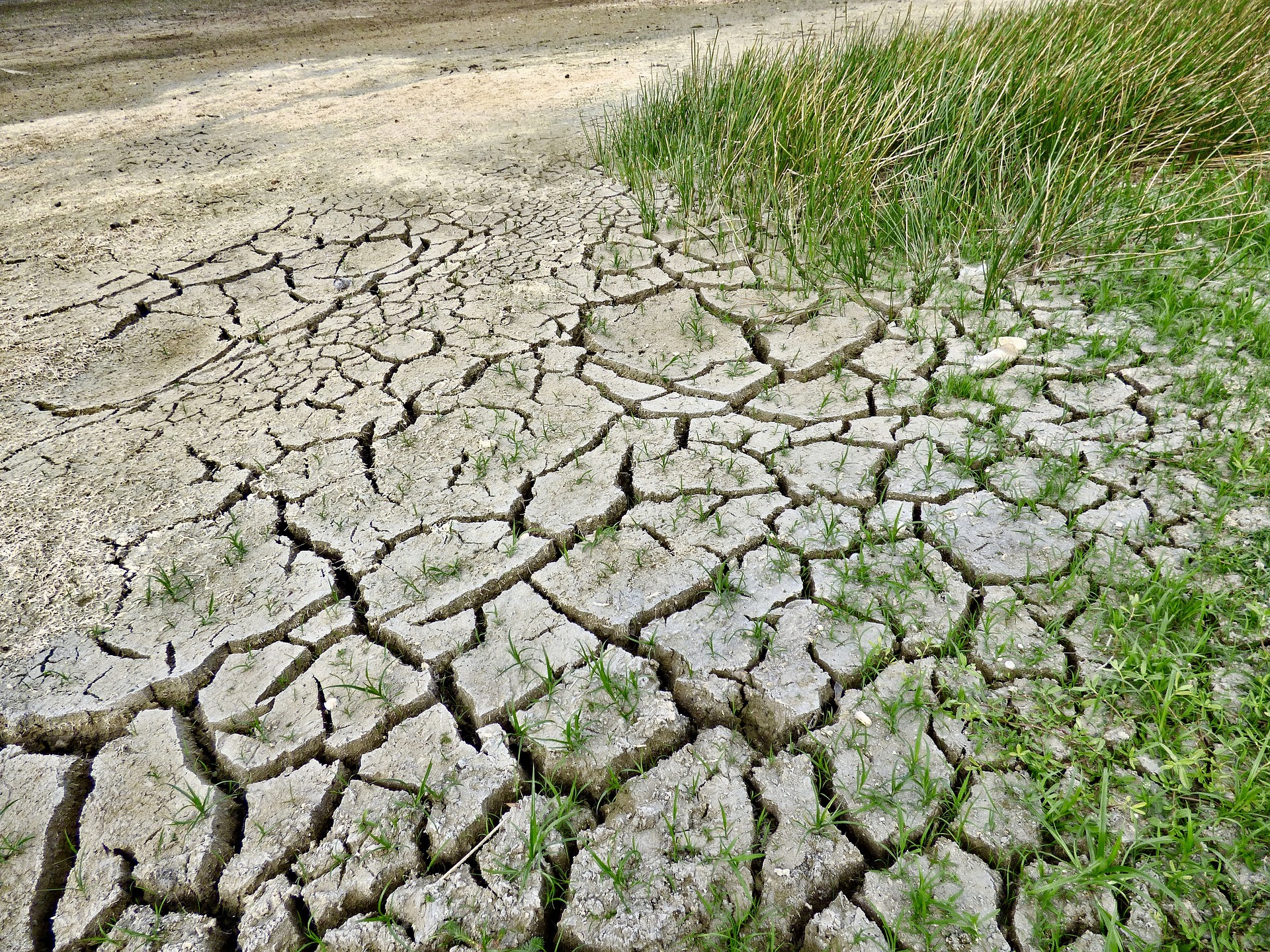 Exceso y carencia de agua: caras del cambio climático que demandan previsión y capacidad de respuesta