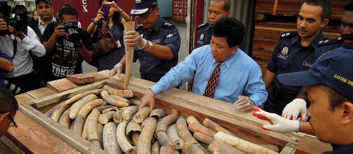 Los costos reales de la tala de árboles, la pesca y el comercio de vida silvestre ilegales llegan a entre USD 1 billón y USD 2 billones anuales.