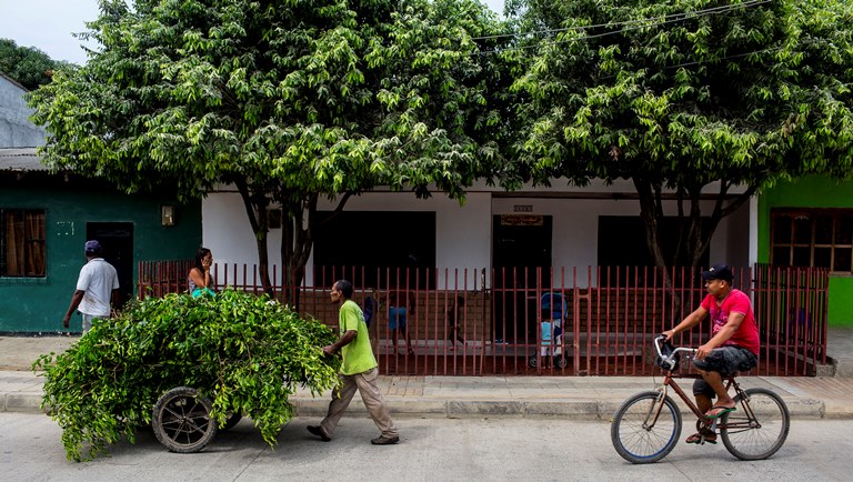 Identifican los retos del Plan Integral de Movilidad Urbana Sustentable de David, Panamá