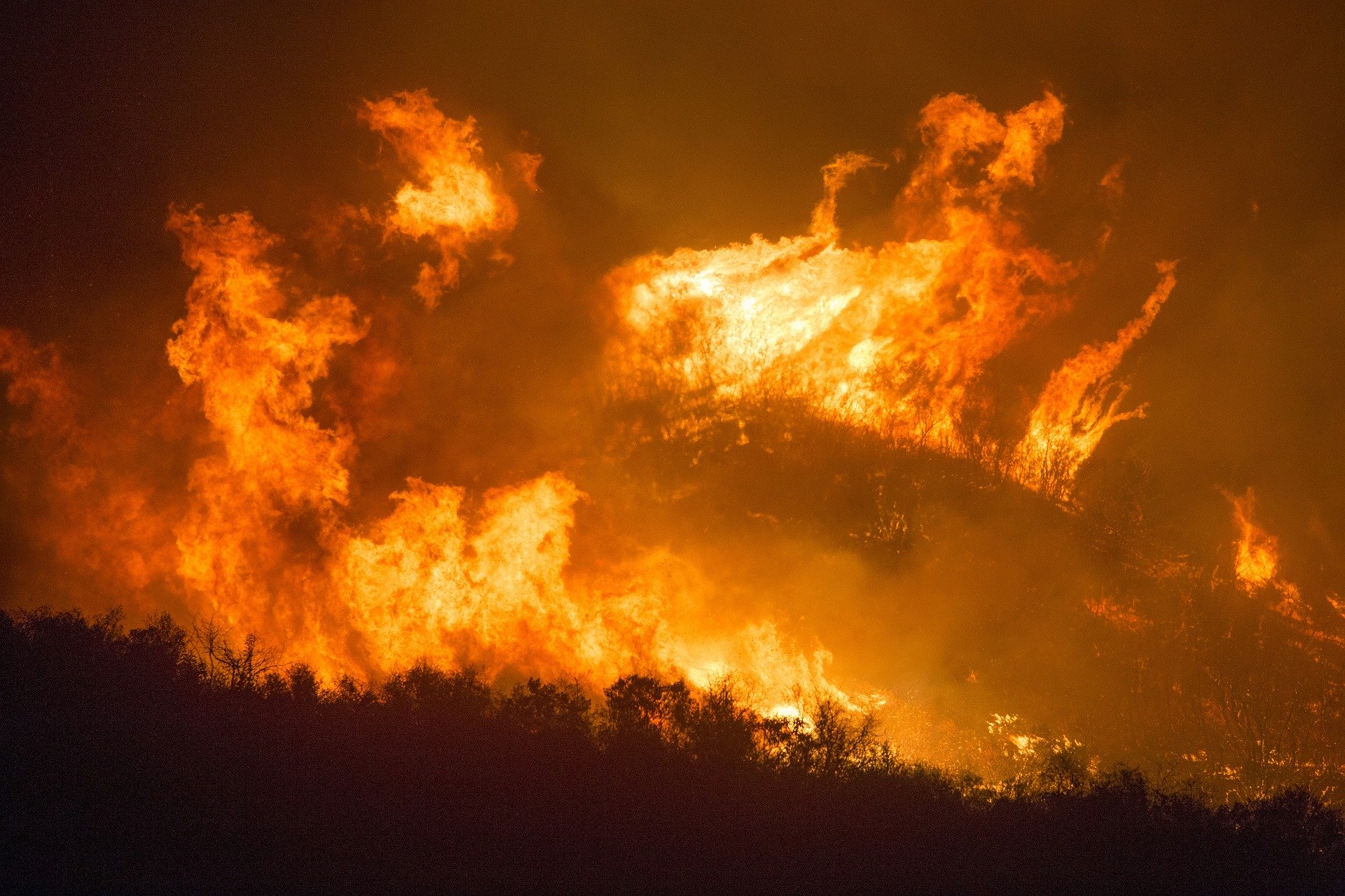 ONU estrenará sala de análisis para incendios forestales