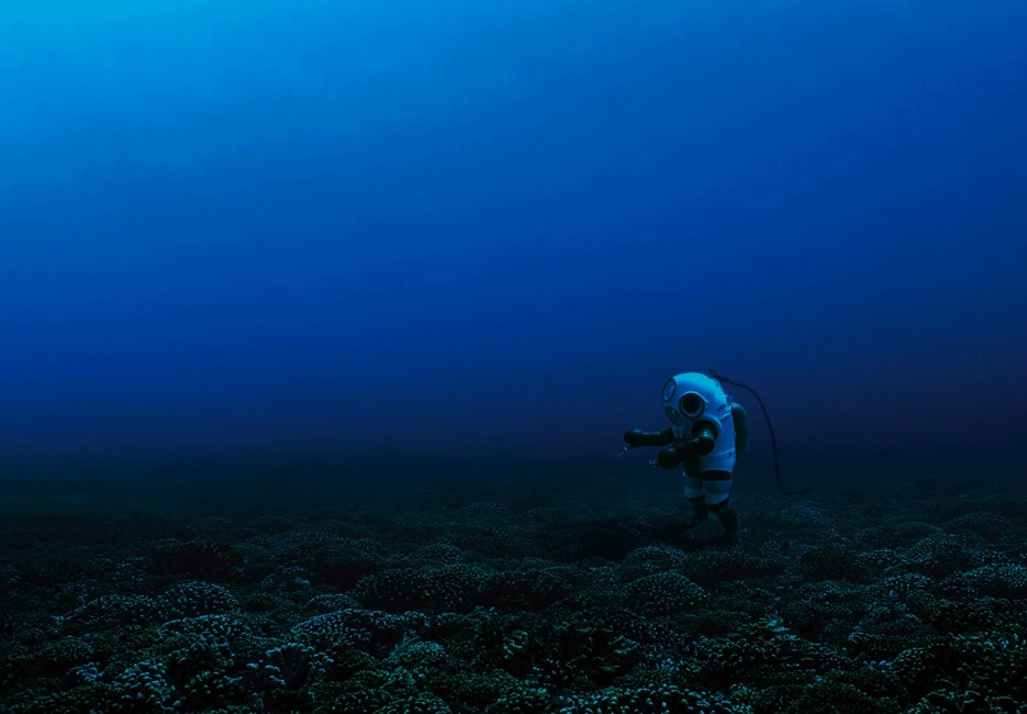 Mission Blue: la urgencia de salvar los océanos