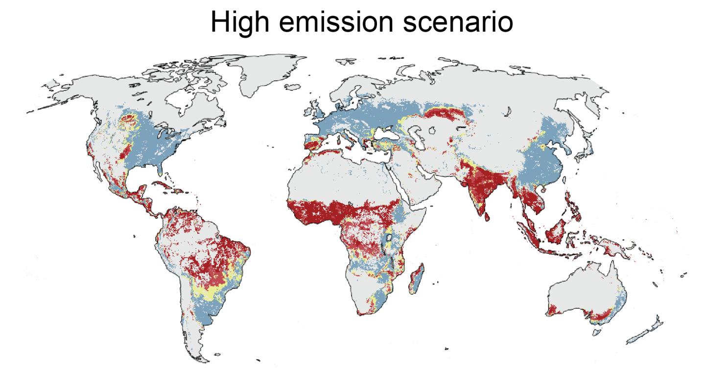 El cambio climático amenaza un tercio de la producción mundial de alimentos