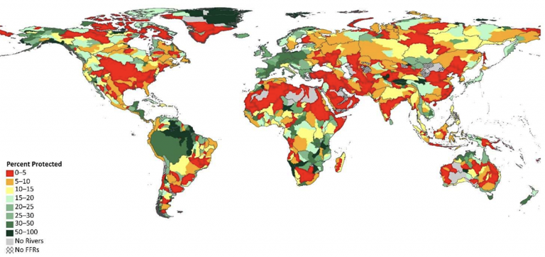 Solo el 17 % de los ríos que fluyen libremente están protegidos