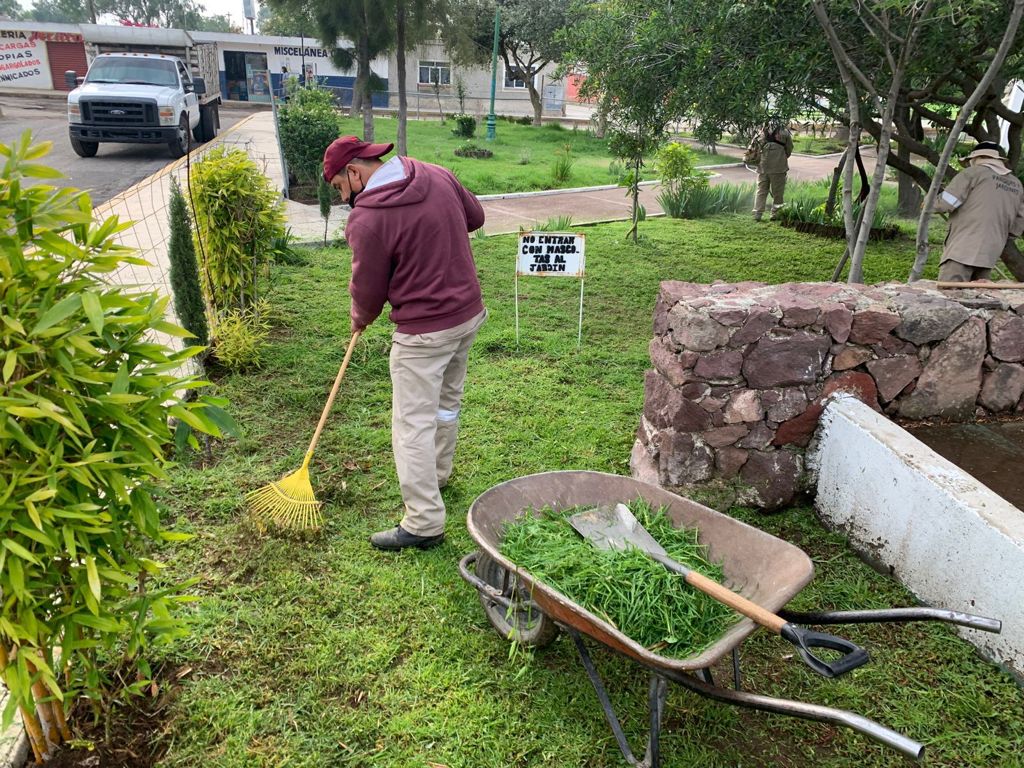 En la comunidad del Huixmí en Pachuca, la rehabilitación del parque incluyó la poda de las áreas verdes. Esta acción es muy importante, ya que un lugar querido y cuidado en donde la comunidad está muy involucrada es un lugar cada vez más seguro.